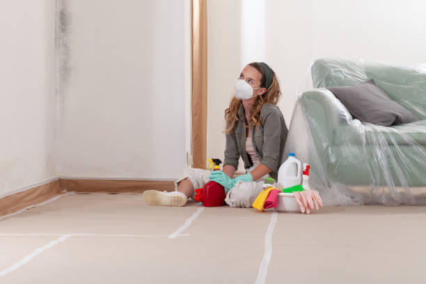 Reliable Mold Cleanup contractor in Sumner, IL by WQB Mold Removal
